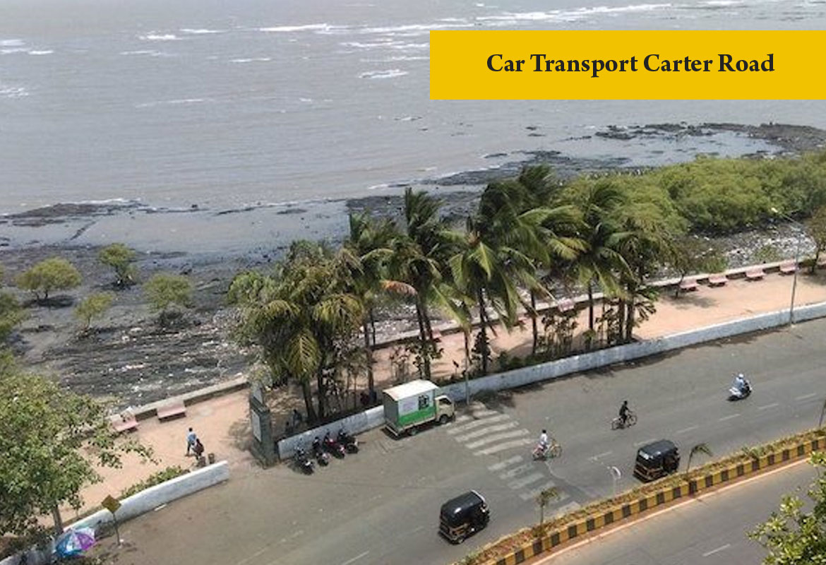 car transport Carter Road