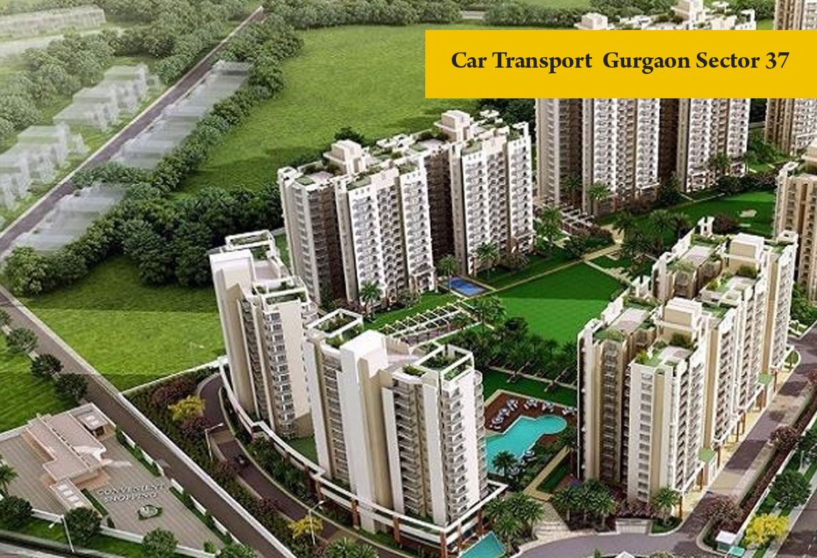 car transport Gurgaon Sector 37 