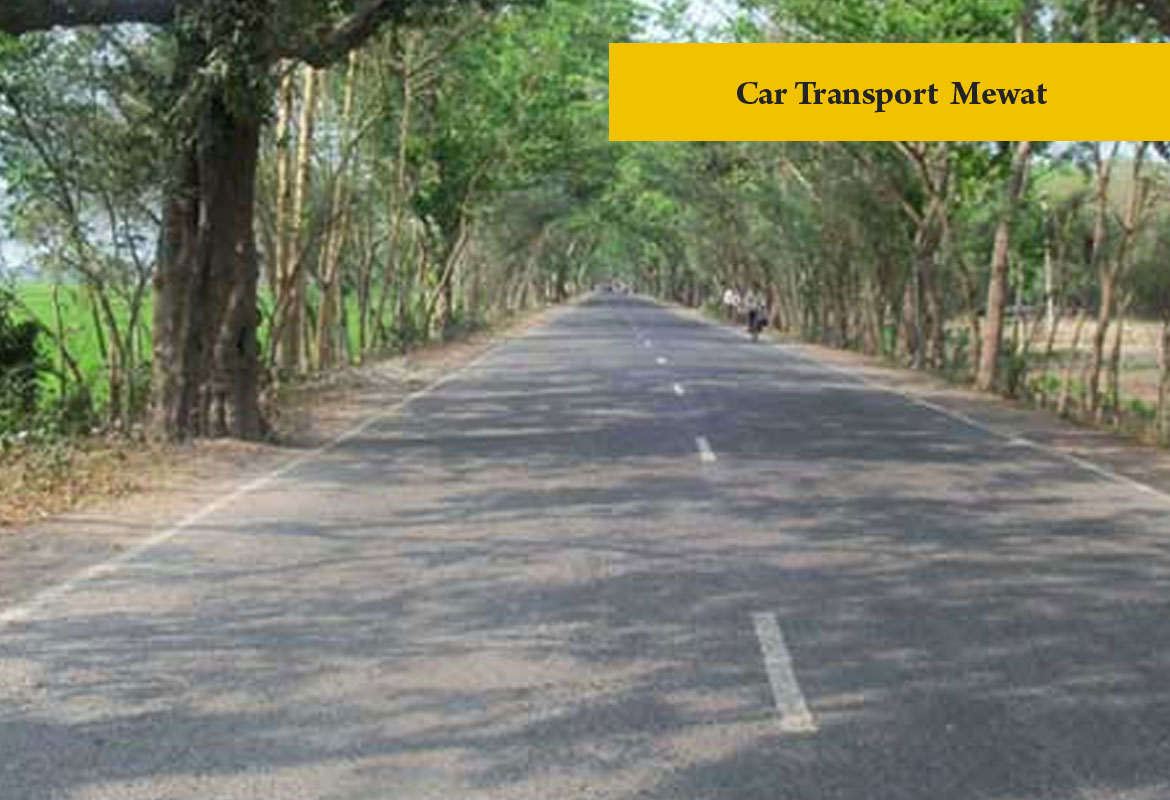 car transport Mewat