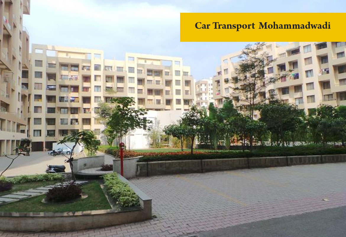 car transport Mohammad wadi